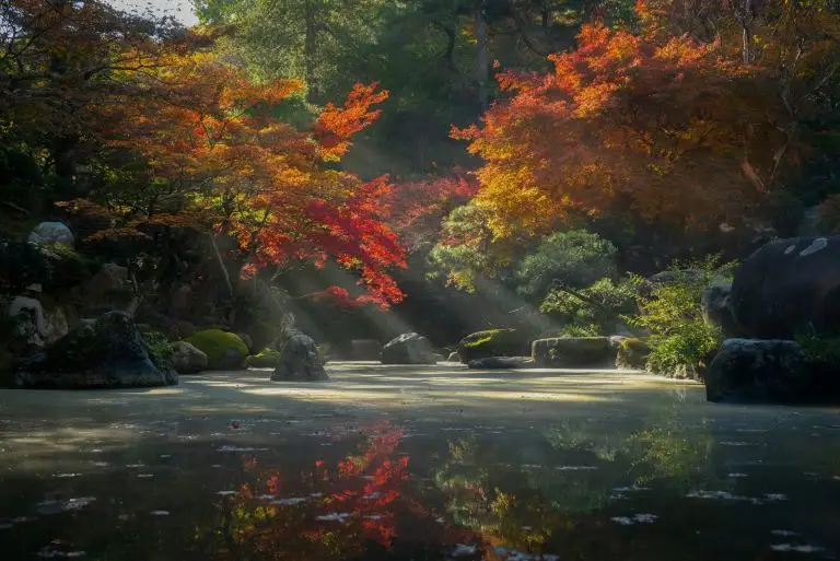 beautiful lake in woodland, ideal for practicing breathwork.