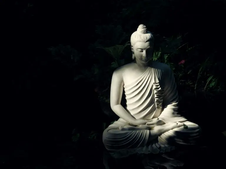 white buddha statue on water